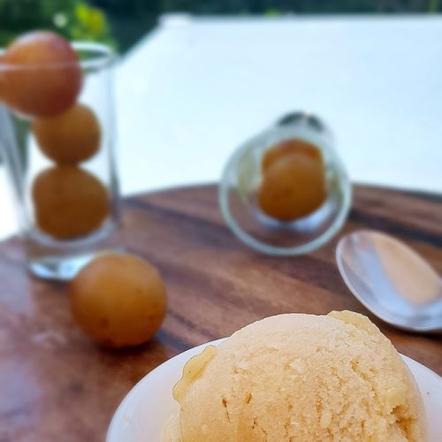 sorbet mirabelles maison dégusté dans le jardin