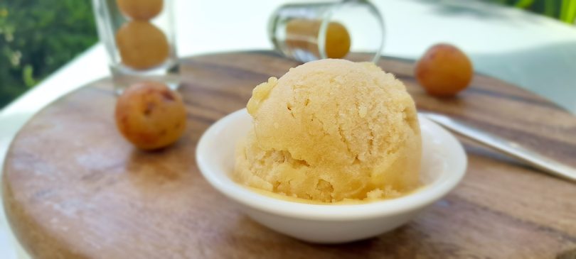 une boule de sorbet mirabelles maison