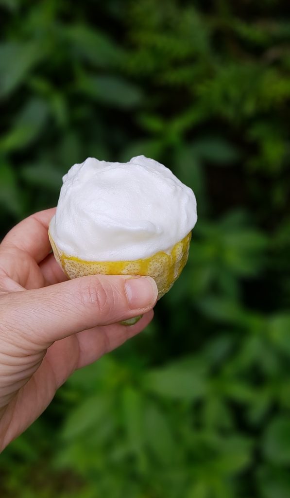 sorbet citron menthe fraiche