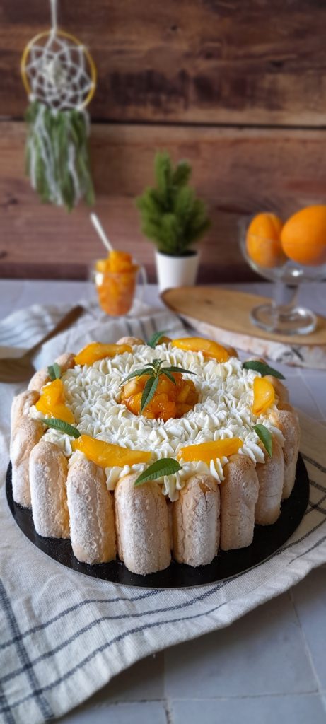 charlotte peches abricots